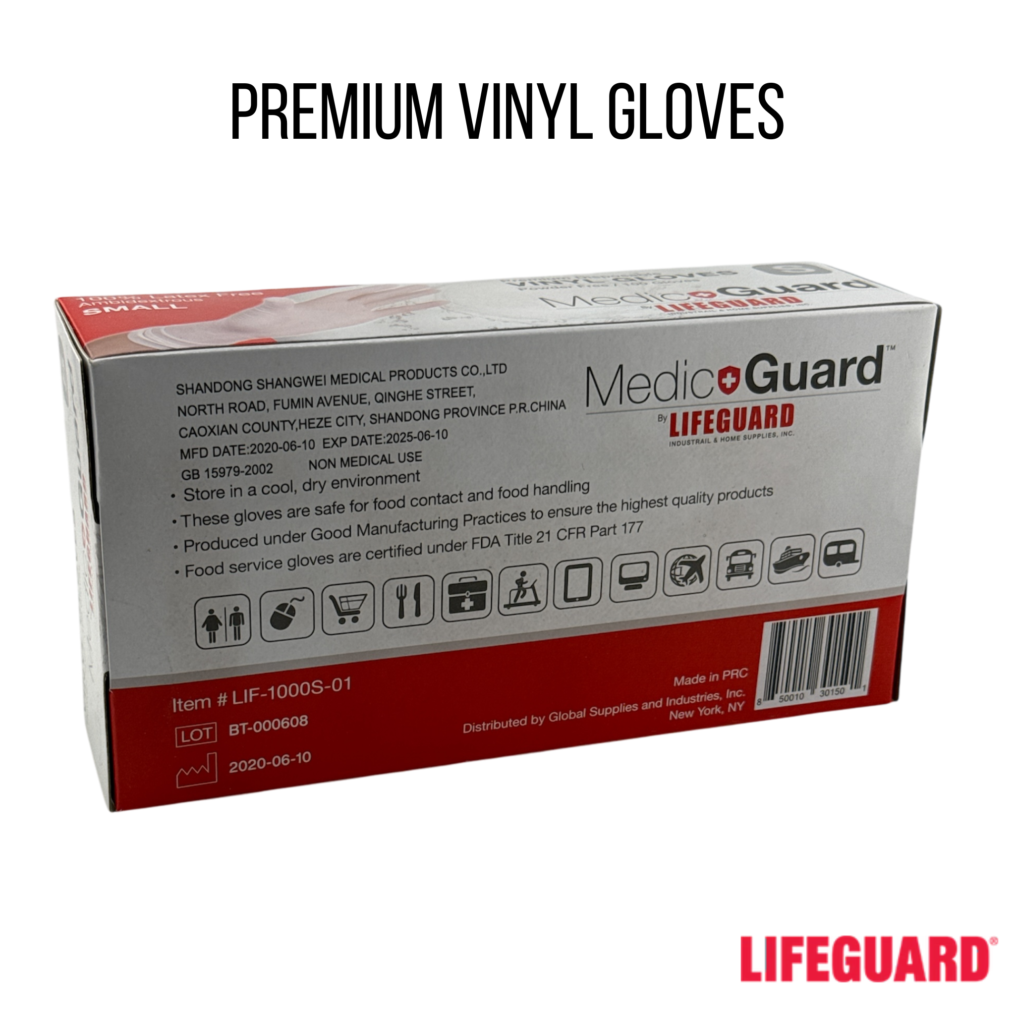 Master Case of Premium Disposable Vinyl Gloves - Latex Free, 100/box, Case of 10 (1000 count)